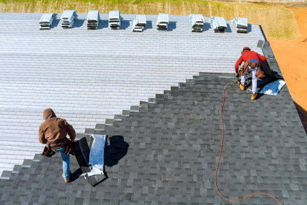 Best Gutter Installation and Roofing  in Pine Manor, FL