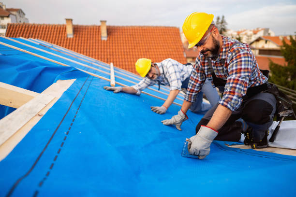 Best Roof Repair Services  in Pine Manor, FL